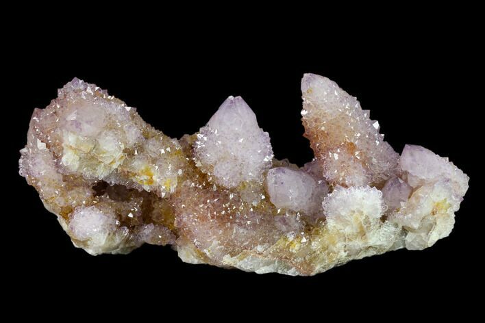 Cactus Quartz (Amethyst) Crystal Cluster - South Africa #132525
